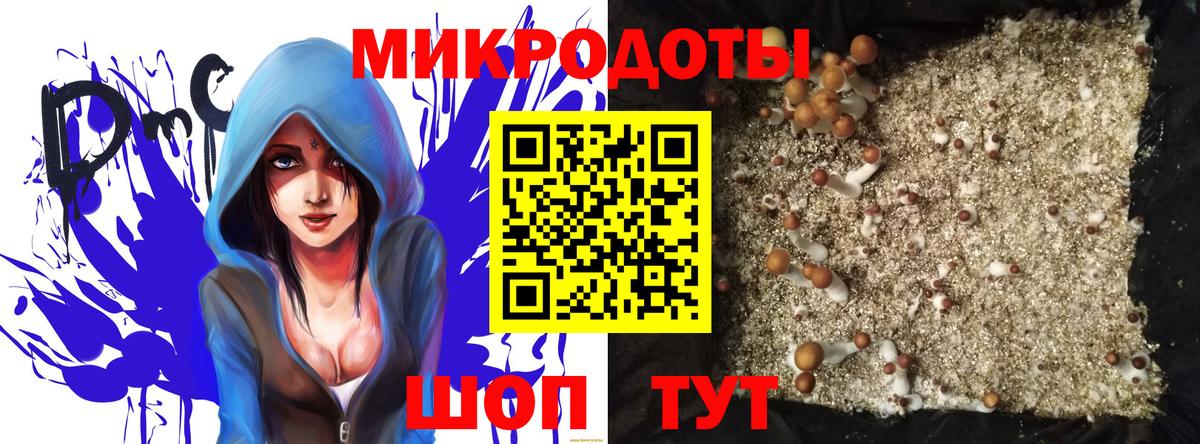Псилоцибиновые грибы GOLDEN TEACHER Бийск