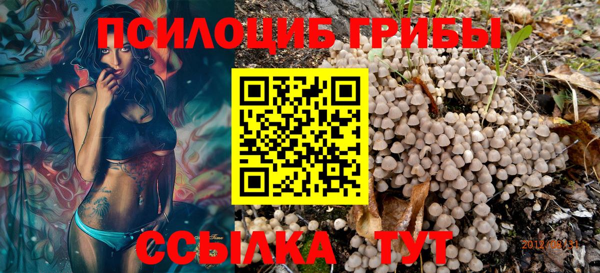 Псилоцибиновые грибы GOLDEN TEACHER  Псилоцибиновые грибы Psilocybe  Вход с VPN  Бийск 